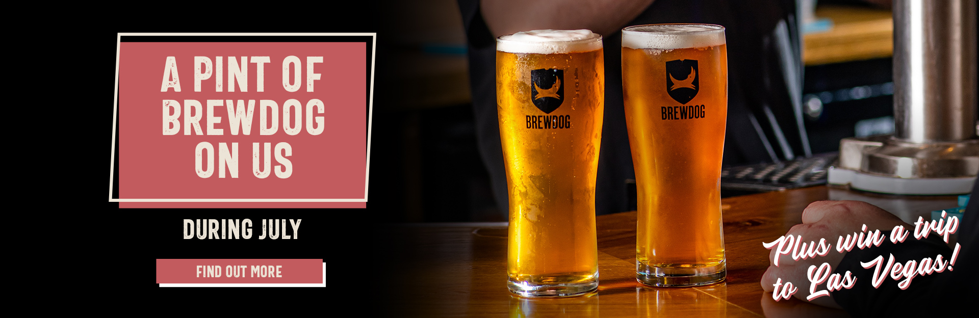 hs-2023-brewdog-aaa-home-banner.jpg